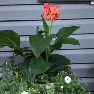 Meet your Posher, Bobbie ann